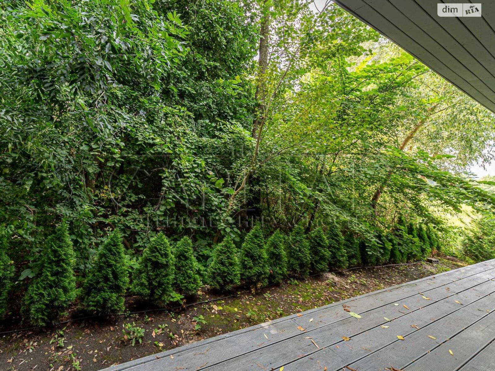 одноповерховий будинок, 280 кв. м, цегла. Продаж у Козині фото 1 одноповерховий будинок, 280 кв. м, цегла. Продаж у Козині фото 1