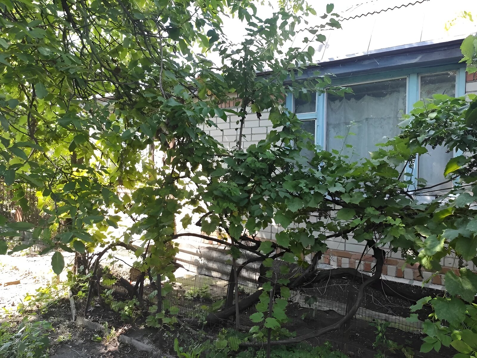 одноповерховий будинок, 139 кв. м, цегла. Продаж в Козовій, район Козова фото 1 одноповерховий будинок, 139 кв. м, цегла. Продаж в Козовій, район Козова фото 1