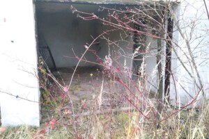 одноповерховий будинок, 84 кв. м, цегла. Продаж в Козовій, район Козова фото 2