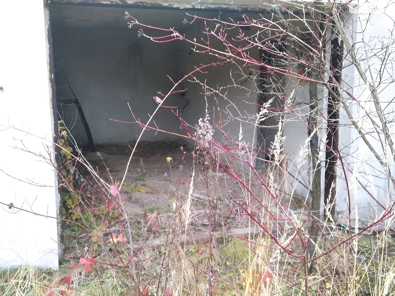 одноповерховий будинок, 84 кв. м, цегла. Продаж в Козовій, район Козова фото 1 одноповерховий будинок, 84 кв. м, цегла. Продаж в Козовій, район Козова фото 1