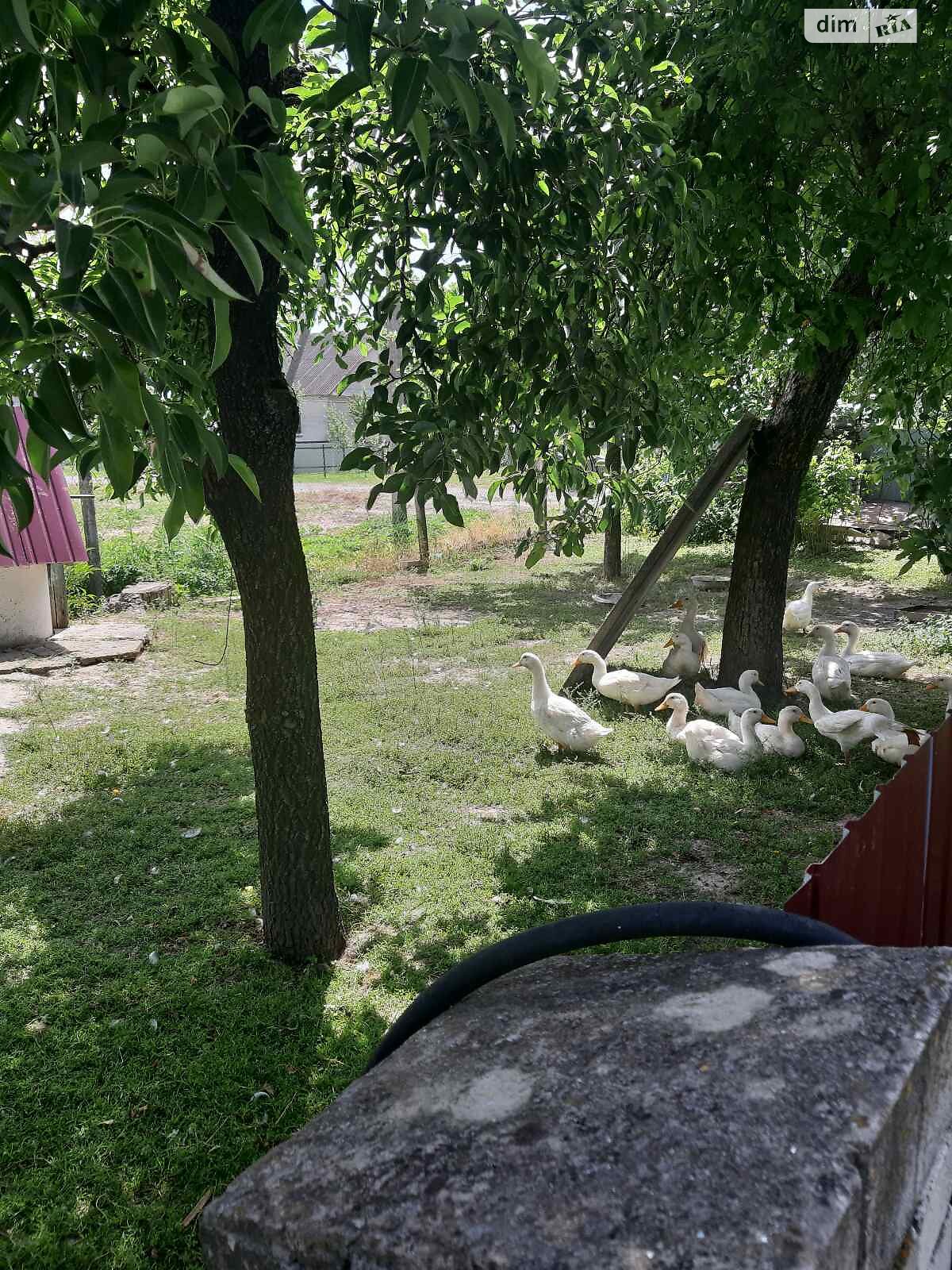 одноэтажный дом с гаражом, 74.1 кв. м, шлакобетон. Продажа в Краеве фото 1 одноэтажный дом с гаражом, 74.1 кв. м, шлакобетон. Продажа в Краеве фото 1