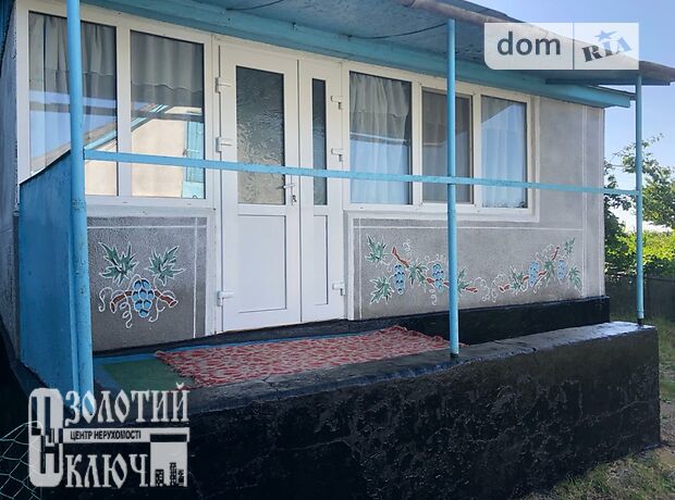 одноповерховий будинок з садом, 78.9 кв. м, кирпич. Продаж в Дружному (Хмельницька обл.) фото 1 одноповерховий будинок з садом, 78.9 кв. м, кирпич. Продаж в Дружному (Хмельницька обл.) фото 1