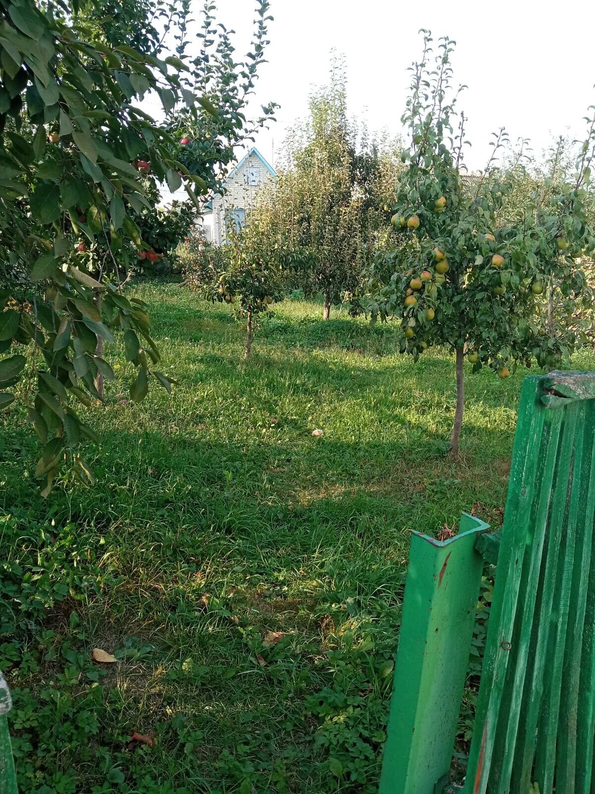 одноповерховий будинок з верандою, 88.1 кв. м, цегла. Продаж у Красилові фото 1 одноповерховий будинок з верандою, 88.1 кв. м, цегла. Продаж у Красилові фото 1