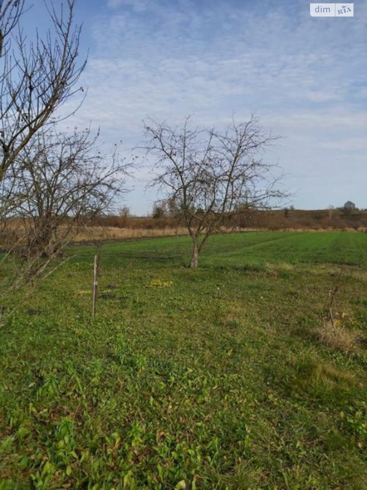 одноповерховий будинок, 44 кв. м, дерево и кирпич. Продаж у Красилівці фото 1 одноповерховий будинок, 44 кв. м, дерево и кирпич. Продаж у Красилівці фото 1
