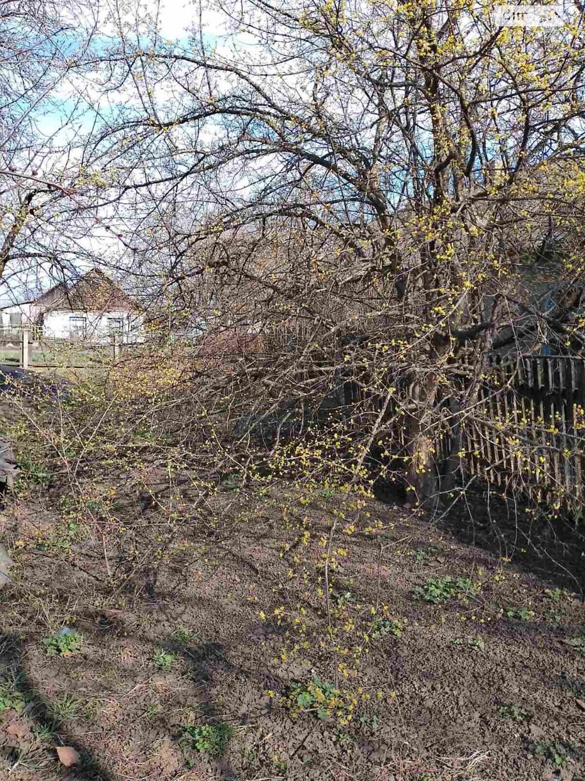 одноповерховий будинок з гаражем, 102.9 кв. м, цегла. Продаж у Красній Балці фото 1 одноповерховий будинок з гаражем, 102.9 кв. м, цегла. Продаж у Красній Балці фото 1