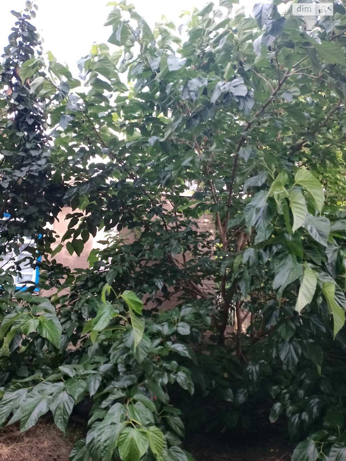 одноповерховий будинок з гаражем, 102.9 кв. м, цегла. Продаж у Красній Балці фото 1 одноповерховий будинок з гаражем, 102.9 кв. м, цегла. Продаж у Красній Балці фото 1