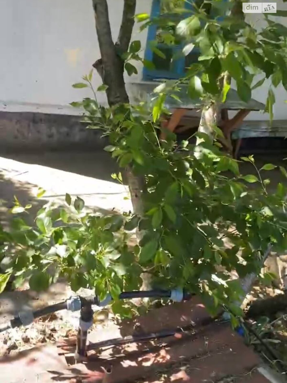 одноповерховий будинок бесідка, 120.2 кв. м, дерево та цегла. Продаж у Красній Косі фото 1 одноповерховий будинок бесідка, 120.2 кв. м, дерево та цегла. Продаж у Красній Косі фото 1