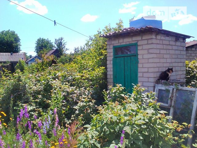 Купить Дом В Мирнограде Донецкой