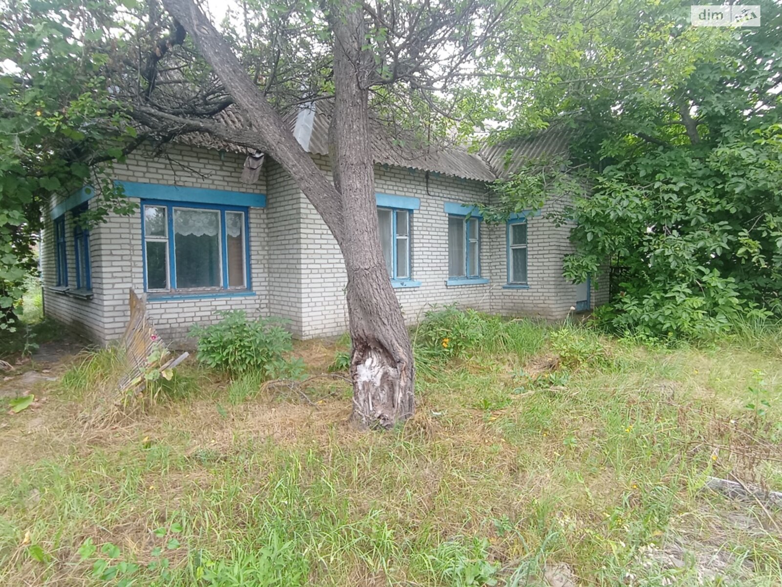 одноповерховий будинок з опаленням, 86 кв. м, цегла. Продаж у Краснобірці фото 1