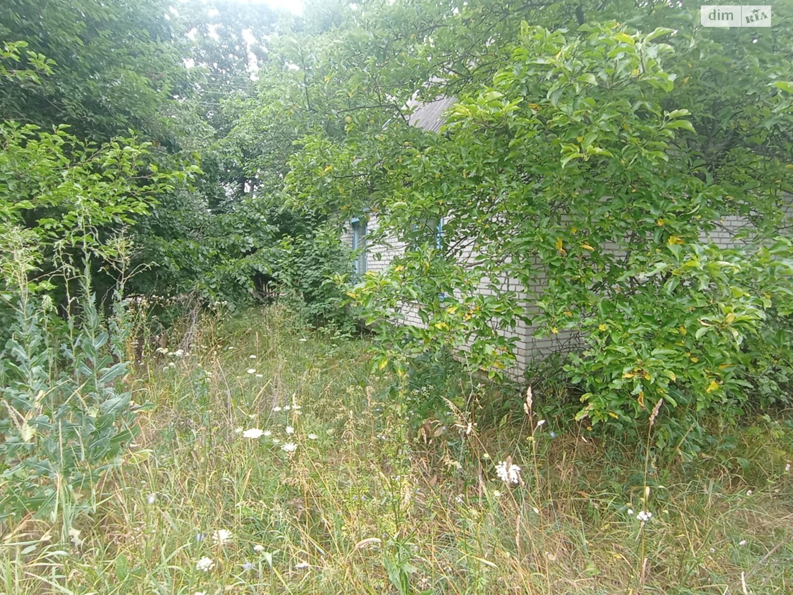 одноповерховий будинок з опаленням, 86 кв. м, цегла. Продаж у Краснобірці фото 1