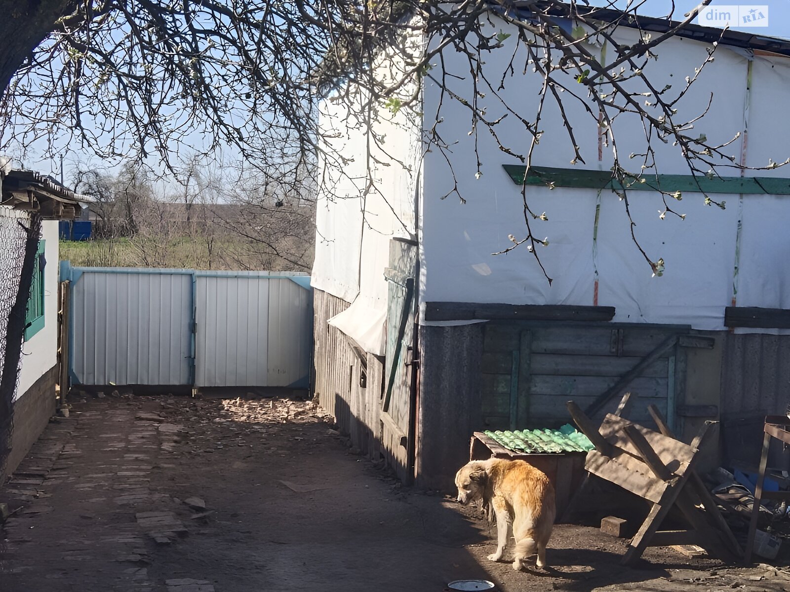 одноэтажный дом с гаражом, 55 кв. м, кирпич саманный. Продажа в Красном район Центр фото 1 одноэтажный дом с гаражом, 55 кв. м, кирпич саманный. Продажа в Красном район Центр фото 1
