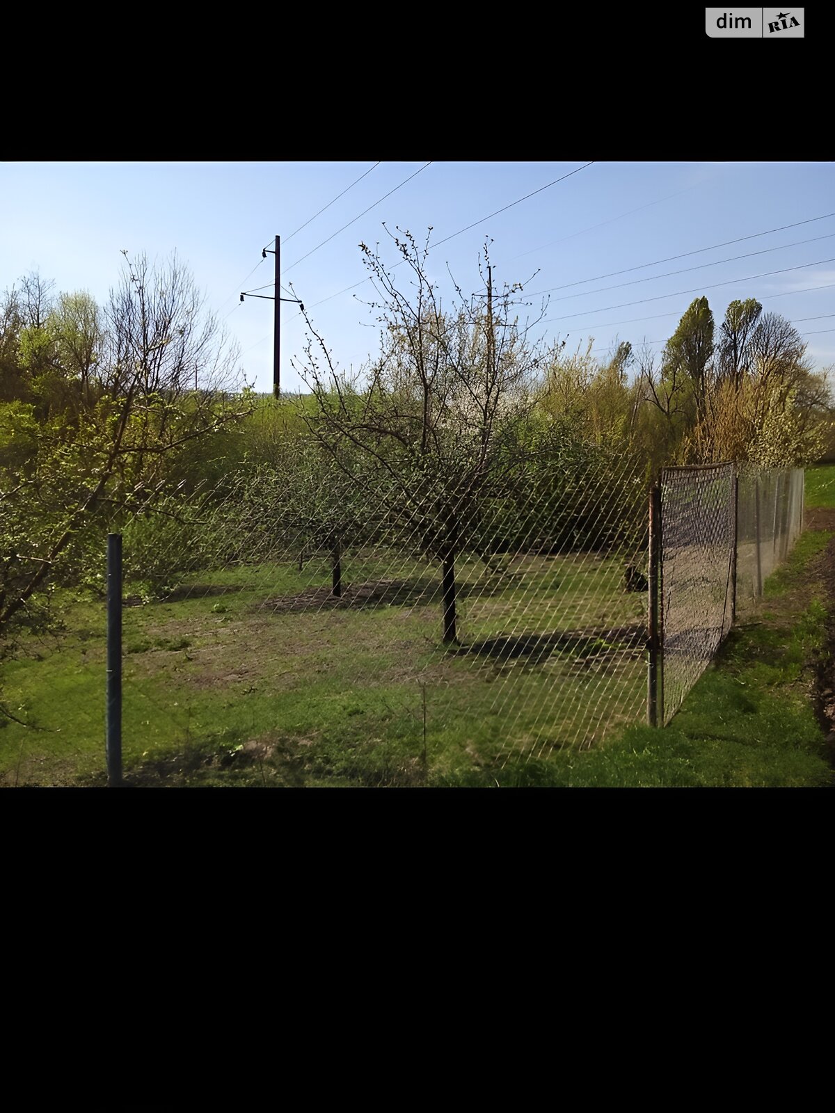 одноэтажный дом, 74.1 кв. м, шлакоблок. Продажа в Краснолуке фото 1 одноэтажный дом, 74.1 кв. м, шлакоблок. Продажа в Краснолуке фото 1