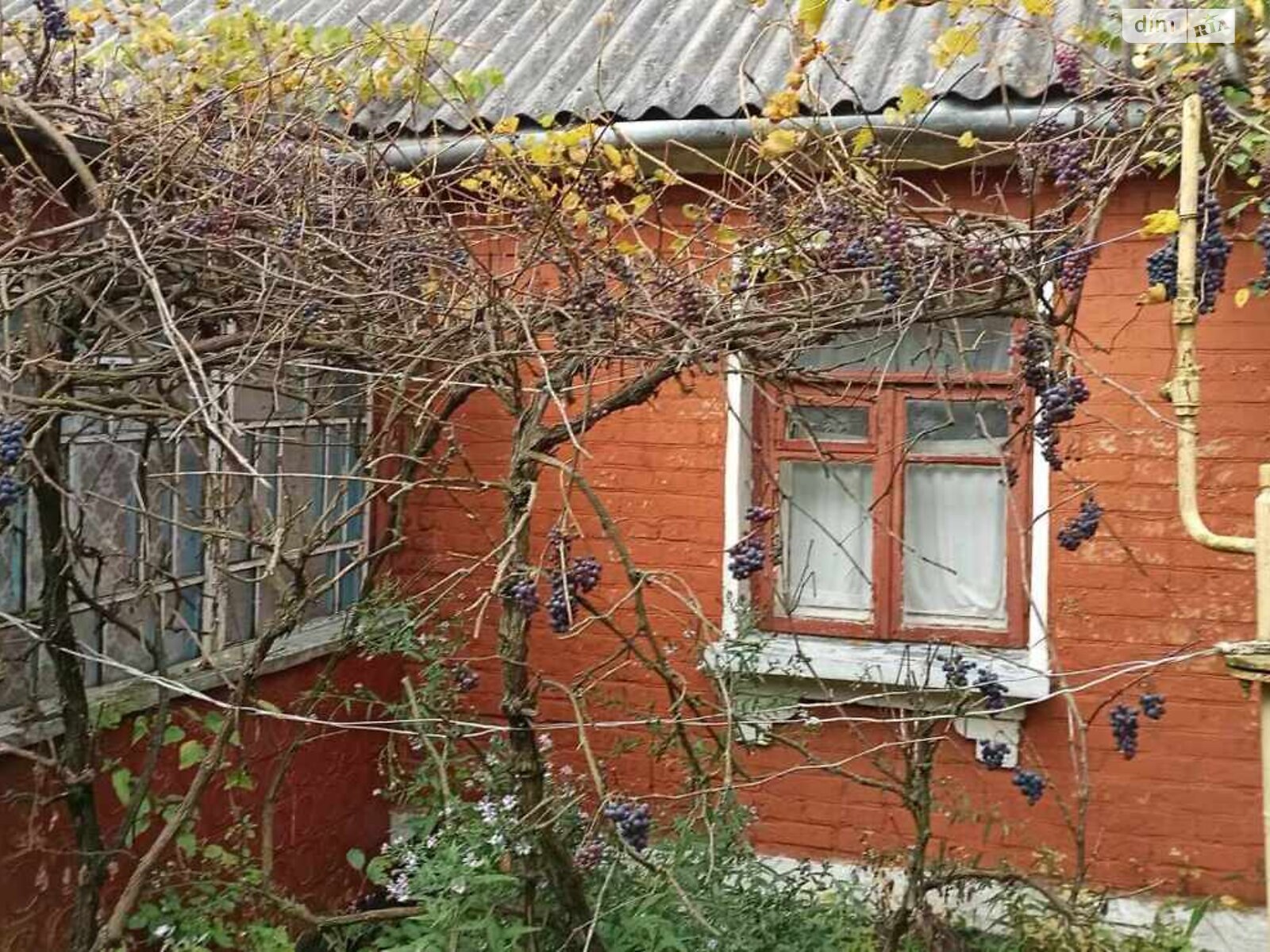 одноповерховий будинок з гаражем, 78.3 кв. м, дерево та цегла. Продаж у Краснополі фото 1 одноповерховий будинок з гаражем, 78.3 кв. м, дерево та цегла. Продаж у Краснополі фото 1