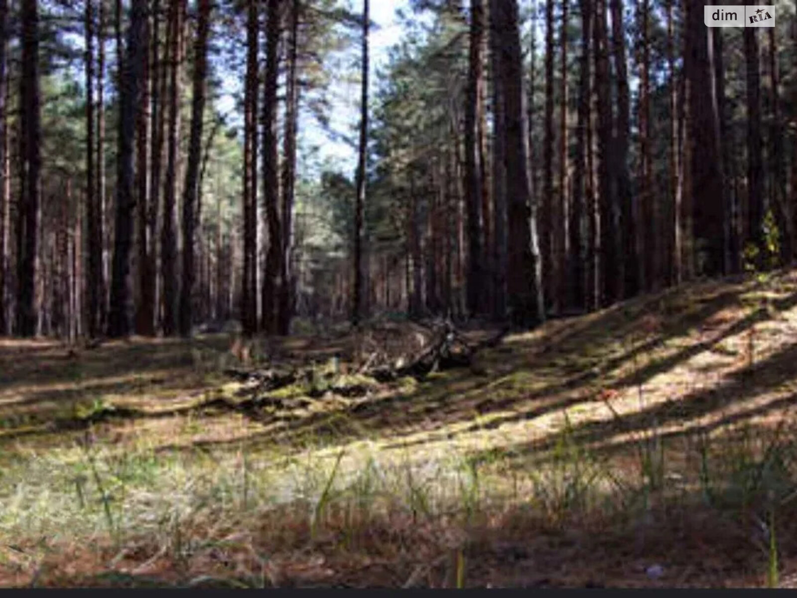 одноэтажный дом с верандой, 20 кв. м, кирпич. Продажа в Кременчуге фото 1