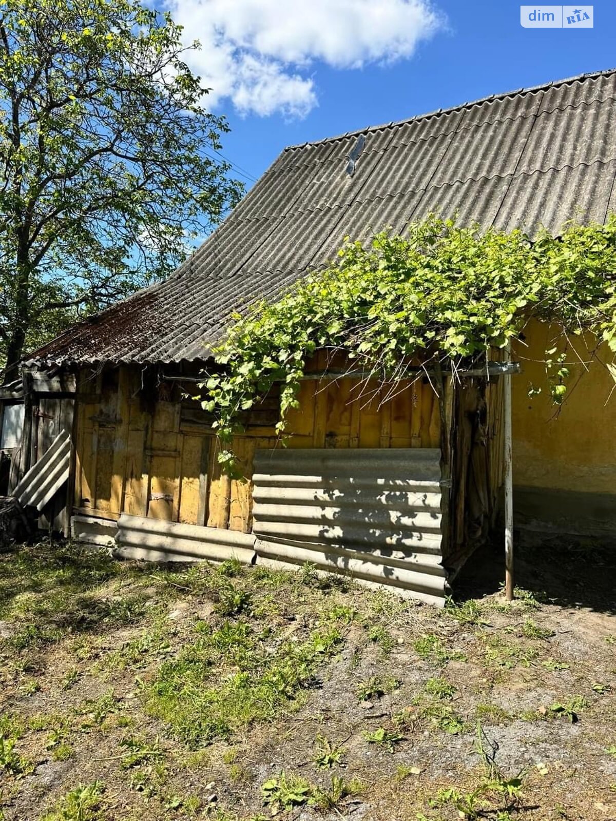 одноповерховий будинок з опаленням, 95 кв. м, цегла. Продаж в Кременці, район Кременець фото 1 одноповерховий будинок з опаленням, 95 кв. м, цегла. Продаж в Кременці, район Кременець фото 1