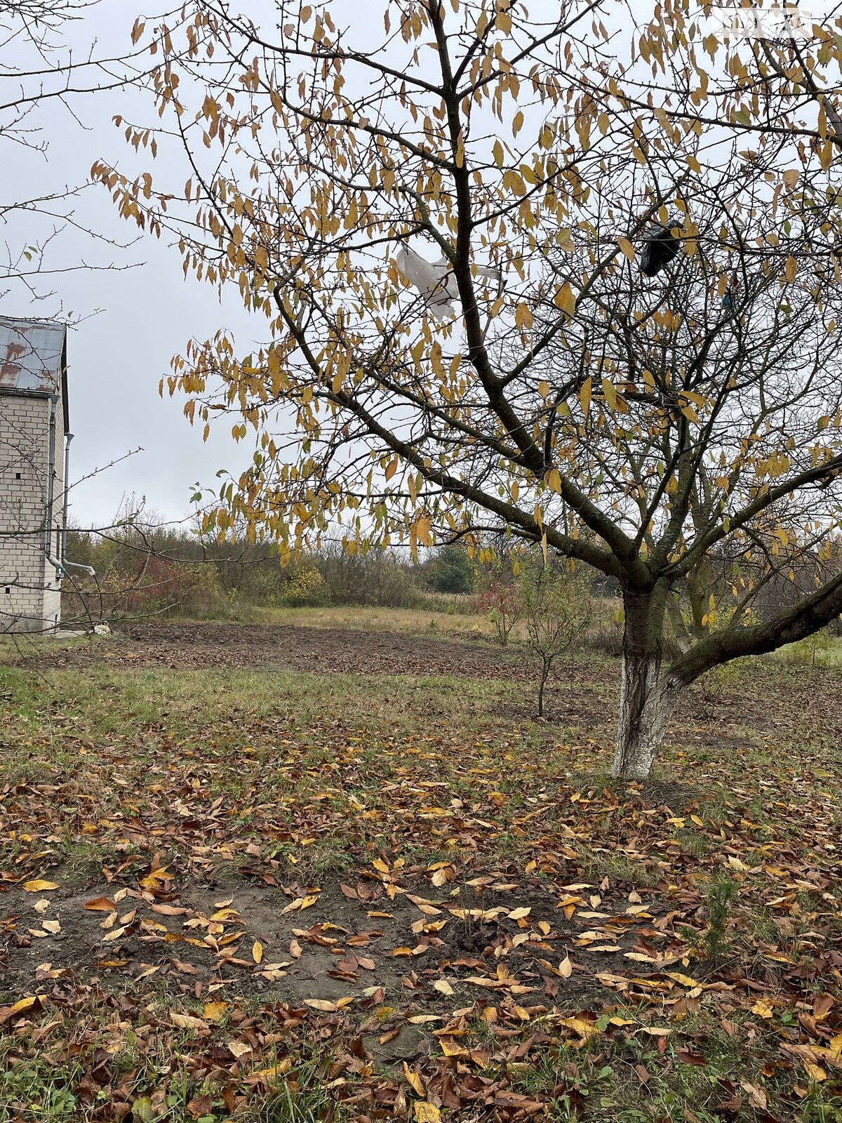 двоповерховий будинок, 80 кв. м, цегла силікатна. Продаж в Кременці, район Кременець фото 1