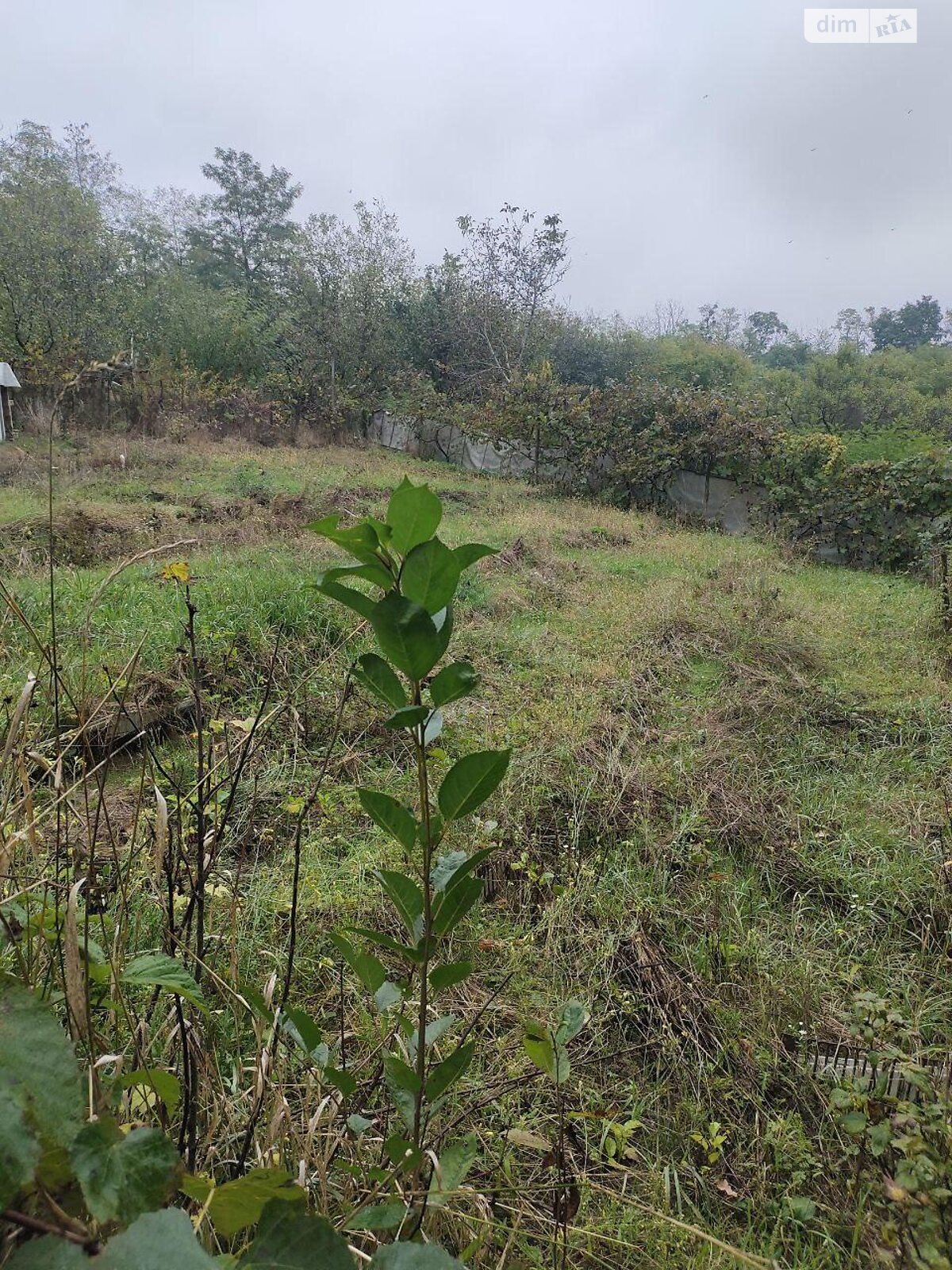 одноповерховий будинок, 135.9 кв. м, блочно-кирпичный. Продаж у Підгірцях фото 1 одноповерховий будинок, 135.9 кв. м, блочно-кирпичный. Продаж у Підгірцях фото 1