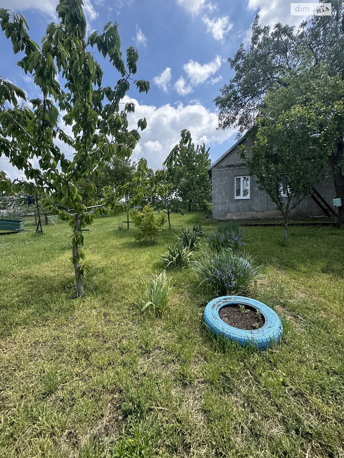 одноэтажный дом, 50 кв. м, кирпич. Продажа в Криничках фото 1 одноэтажный дом, 50 кв. м, кирпич. Продажа в Криничках фото 1