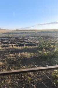 одноповерховий будинок з гаражем, 62 кв. м, кирпич. Продаж у Криничне фото 2