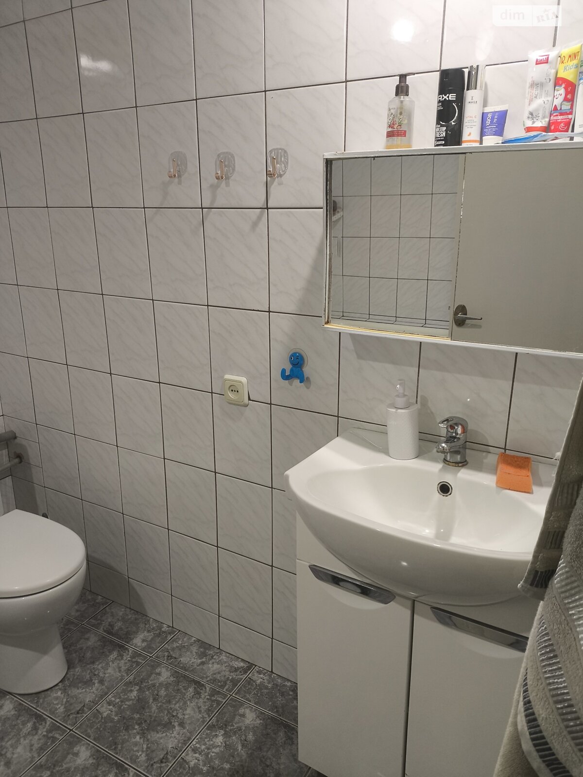 одноповерховий будинок з гаражем, 62 кв. м, кирпич. Продаж у Криничне фото 1