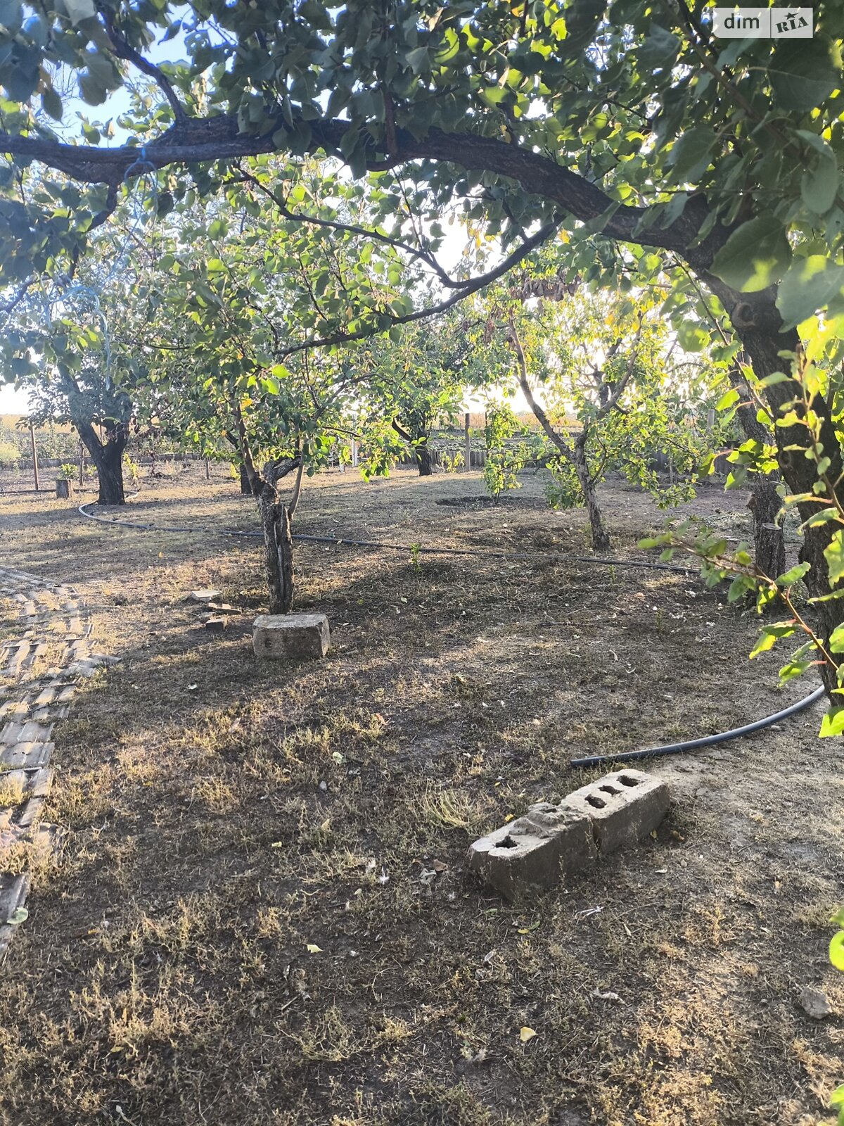 одноповерховий будинок з гаражем, 62 кв. м, кирпич. Продаж у Криничне фото 1