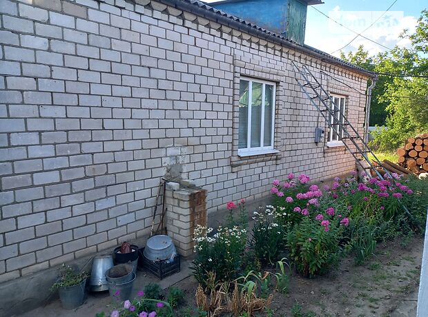 одноэтажный дом с подвалом, 110 кв. м, кирпич силикатный. Продажа в КривоеОзере район Кривое Озеро фото 1 одноэтажный дом с подвалом, 110 кв. м, кирпич силикатный. Продажа в КривоеОзере район Кривое Озеро фото 1