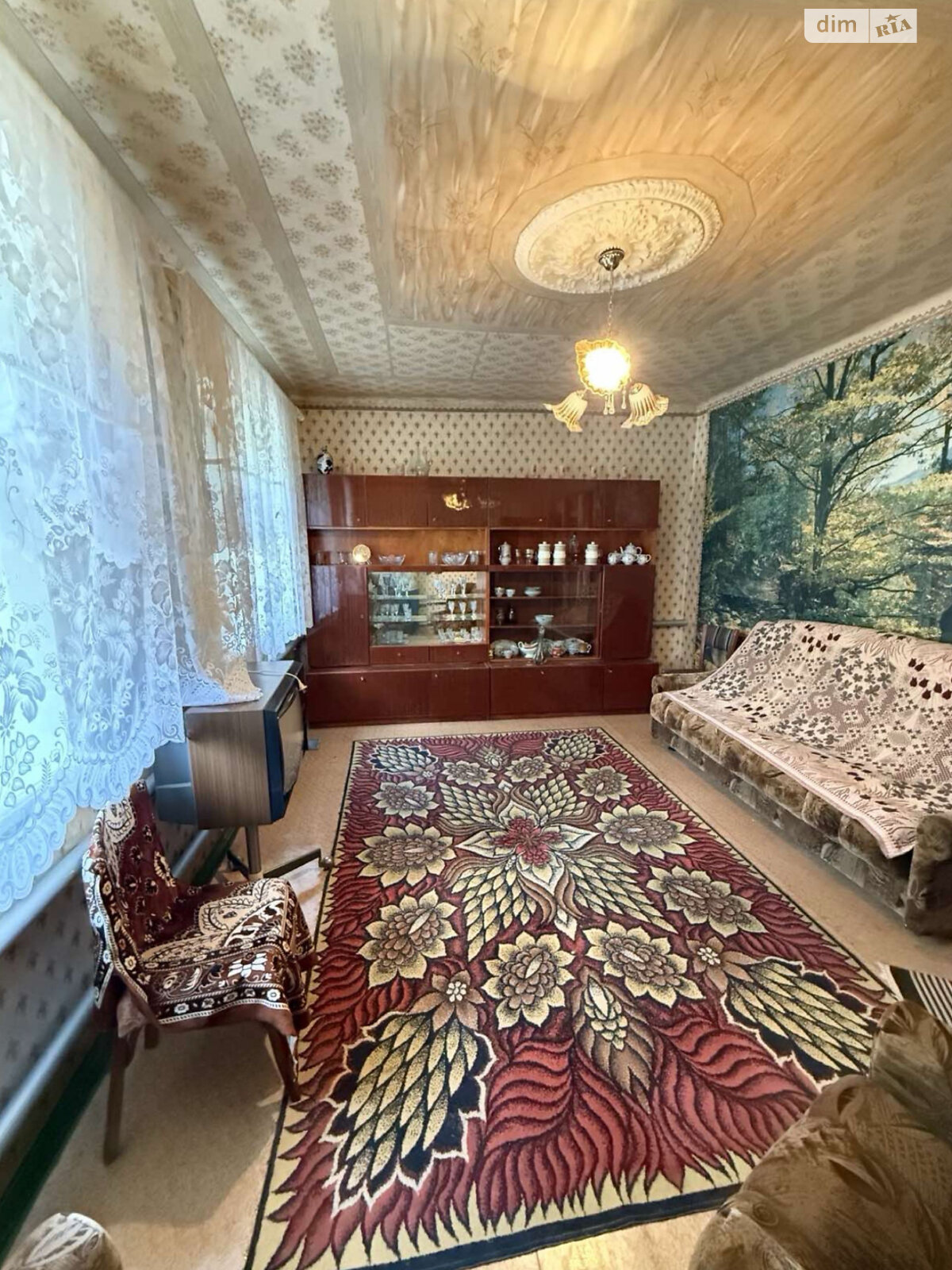 одноповерховий будинок з гаражем, 47 кв. м, цегла. Продаж в Кривому Розі, район Довгинцівський фото 1