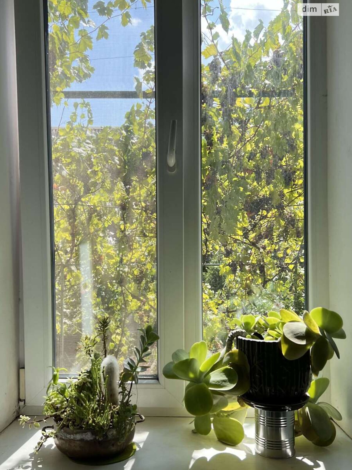 одноповерховий будинок з гаражем, 77.6 кв. м, шлакобетон. Продаж в Кривому Розі, район Інгулецький фото 1 одноповерховий будинок з гаражем, 77.6 кв. м, шлакобетон. Продаж в Кривому Розі, район Інгулецький фото 1