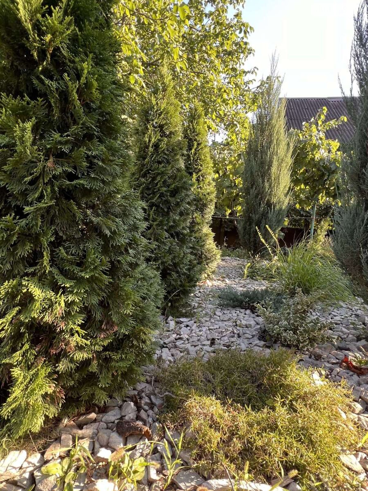 одноповерховий будинок з гаражем, 77.6 кв. м, шлакобетон. Продаж в Кривому Розі, район Інгулецький фото 1 одноповерховий будинок з гаражем, 77.6 кв. м, шлакобетон. Продаж в Кривому Розі, район Інгулецький фото 1