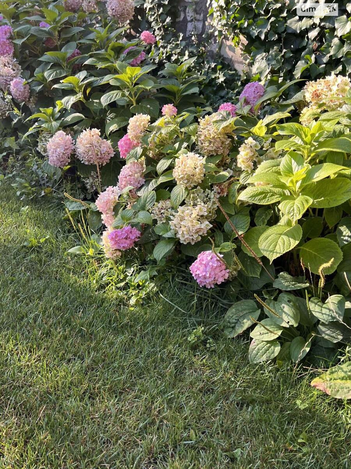 одноповерховий будинок з гаражем, 77.6 кв. м, шлакобетон. Продаж в Кривому Розі, район Інгулецький фото 1 одноповерховий будинок з гаражем, 77.6 кв. м, шлакобетон. Продаж в Кривому Розі, район Інгулецький фото 1