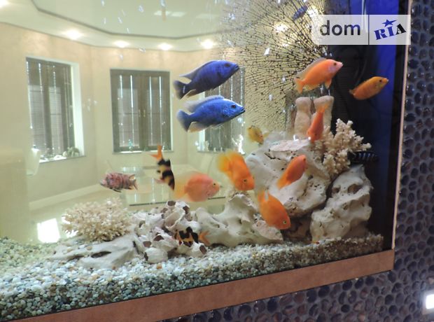 одноповерховий будинок з каміном, 400 кв. м, газобетон. Продаж в Кривому Розі, район Жовтневий фото 1 одноповерховий будинок з каміном, 400 кв. м, газобетон. Продаж в Кривому Розі, район Жовтневий фото 1