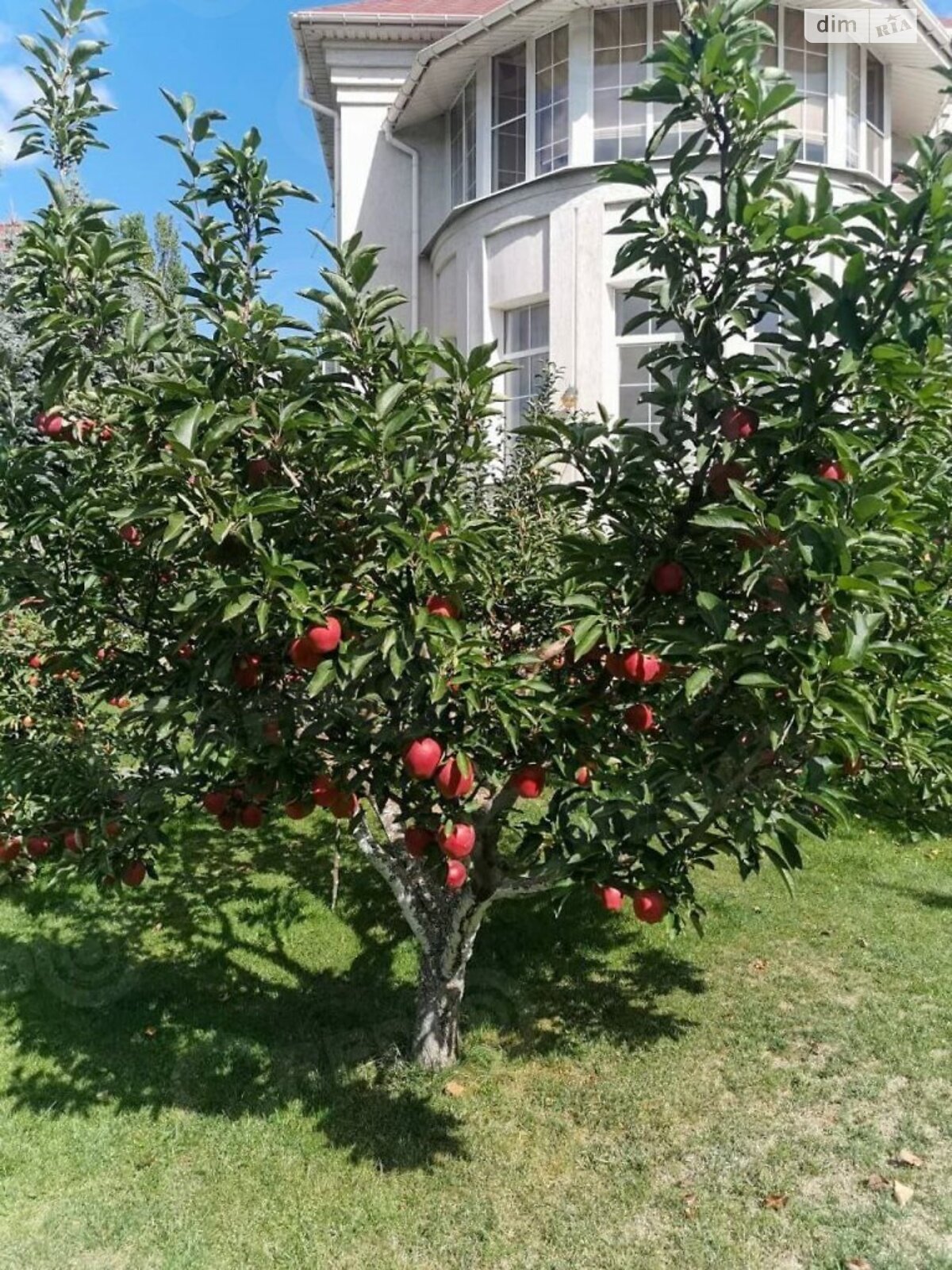 двоповерховий будинок з балконом, 420 кв. м, ракушняк. Продаж в Кривому Розі, район Покровський фото 1