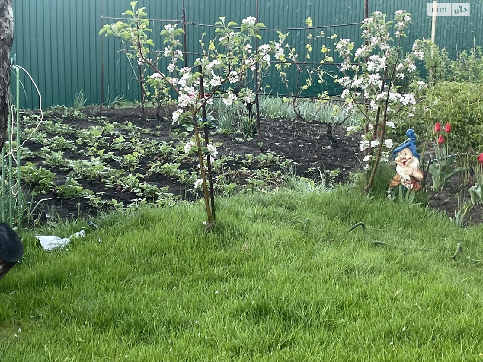 одноэтажный дом с гаражом, 75.2 кв. м, кирпич. Продажа в Кривом Роге район Терновской фото 1 одноэтажный дом с гаражом, 75.2 кв. м, кирпич. Продажа в Кривом Роге район Терновской фото 1