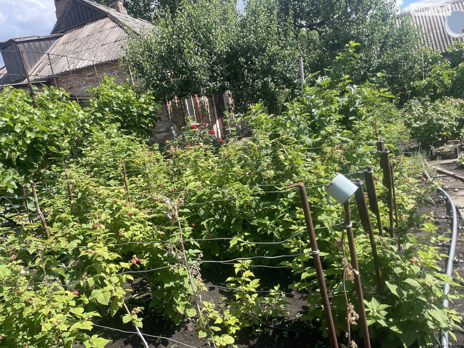 одноэтажный дом с гаражом, 75.2 кв. м, кирпич. Продажа в Кривом Роге район Терновской фото 1 одноэтажный дом с гаражом, 75.2 кв. м, кирпич. Продажа в Кривом Роге район Терновской фото 1