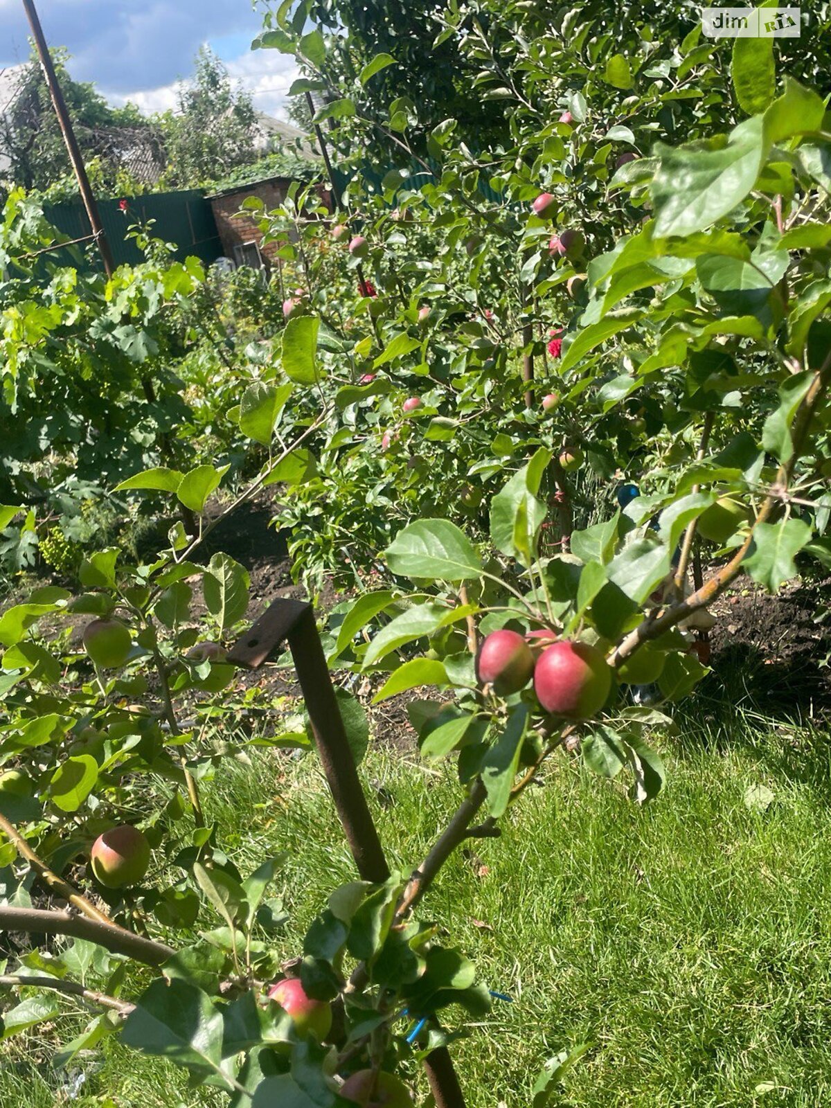 одноэтажный дом с гаражом, 75.2 кв. м, кирпич. Продажа в Кривом Роге район Терновской фото 1 одноэтажный дом с гаражом, 75.2 кв. м, кирпич. Продажа в Кривом Роге район Терновской фото 1