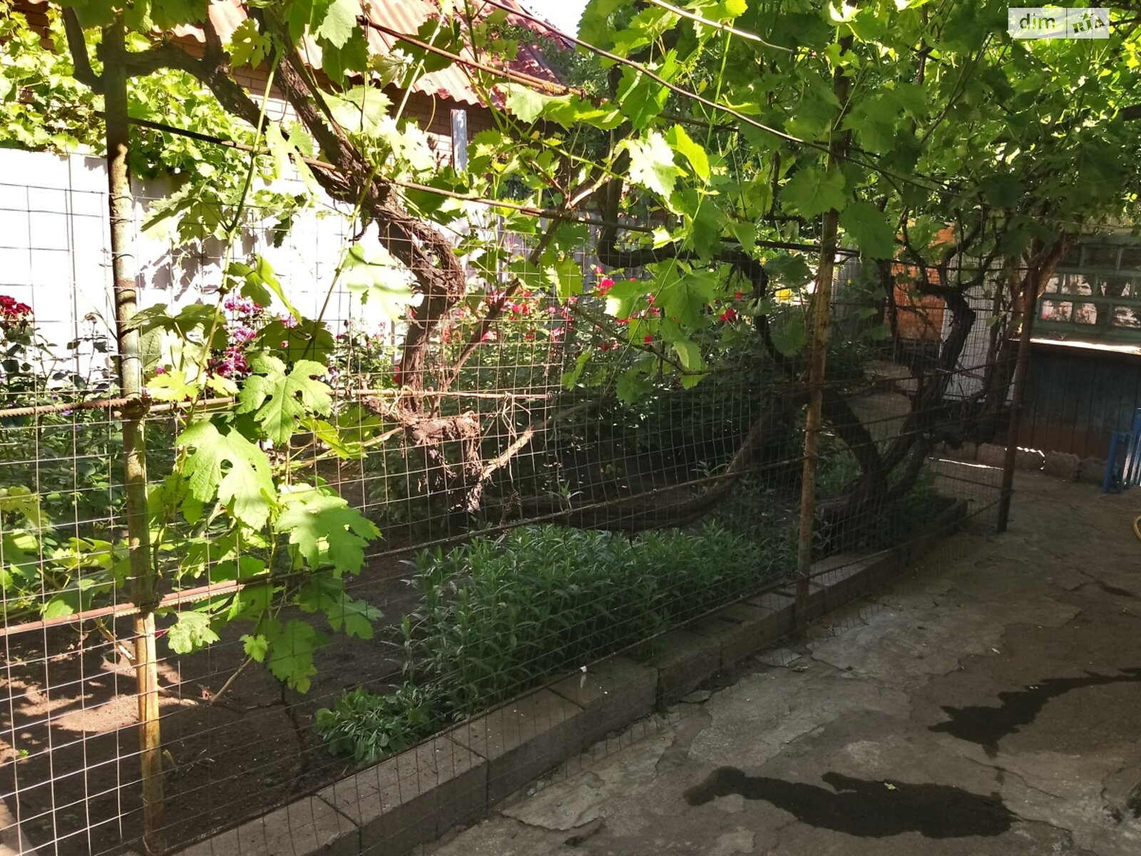 одноповерховий будинок з гаражем, 74 кв. м, монолитно-кирпичный. Продаж в Кривому Розі, район Центрально-Міський фото 1 одноповерховий будинок з гаражем, 74 кв. м, монолитно-кирпичный. Продаж в Кривому Розі, район Центрально-Міський фото 1