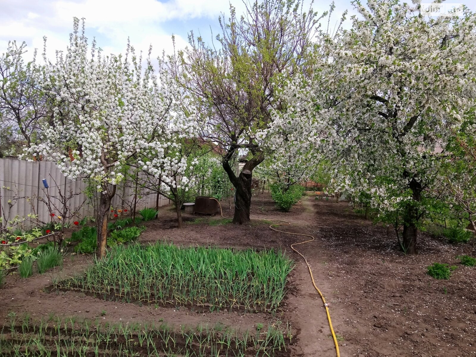 одноповерховий будинок з гаражем, 74 кв. м, монолитно-кирпичный. Продаж в Кривому Розі, район Центрально-Міський фото 1 одноповерховий будинок з гаражем, 74 кв. м, монолитно-кирпичный. Продаж в Кривому Розі, район Центрально-Міський фото 1