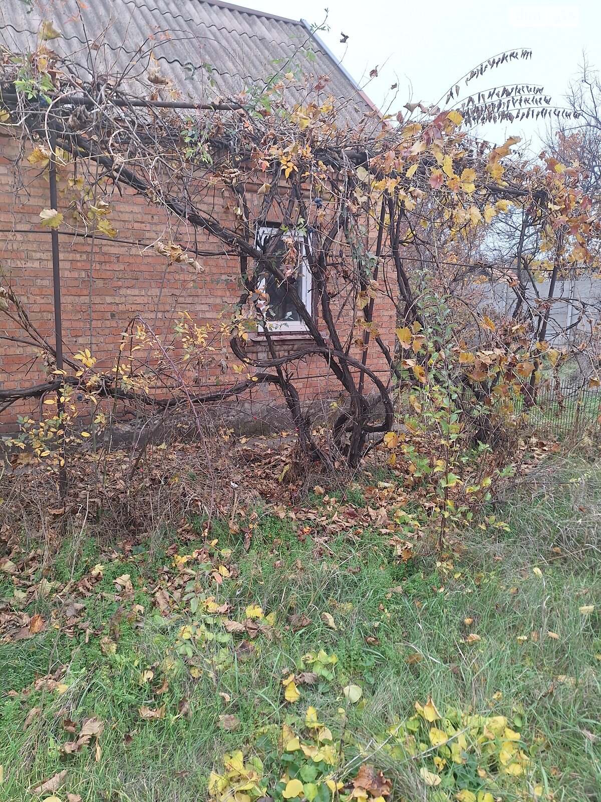 одноэтажный дом с отоплением, 50 кв. м, кирпич. Продажа в Кривом Роге район Центрально-Городской фото 1