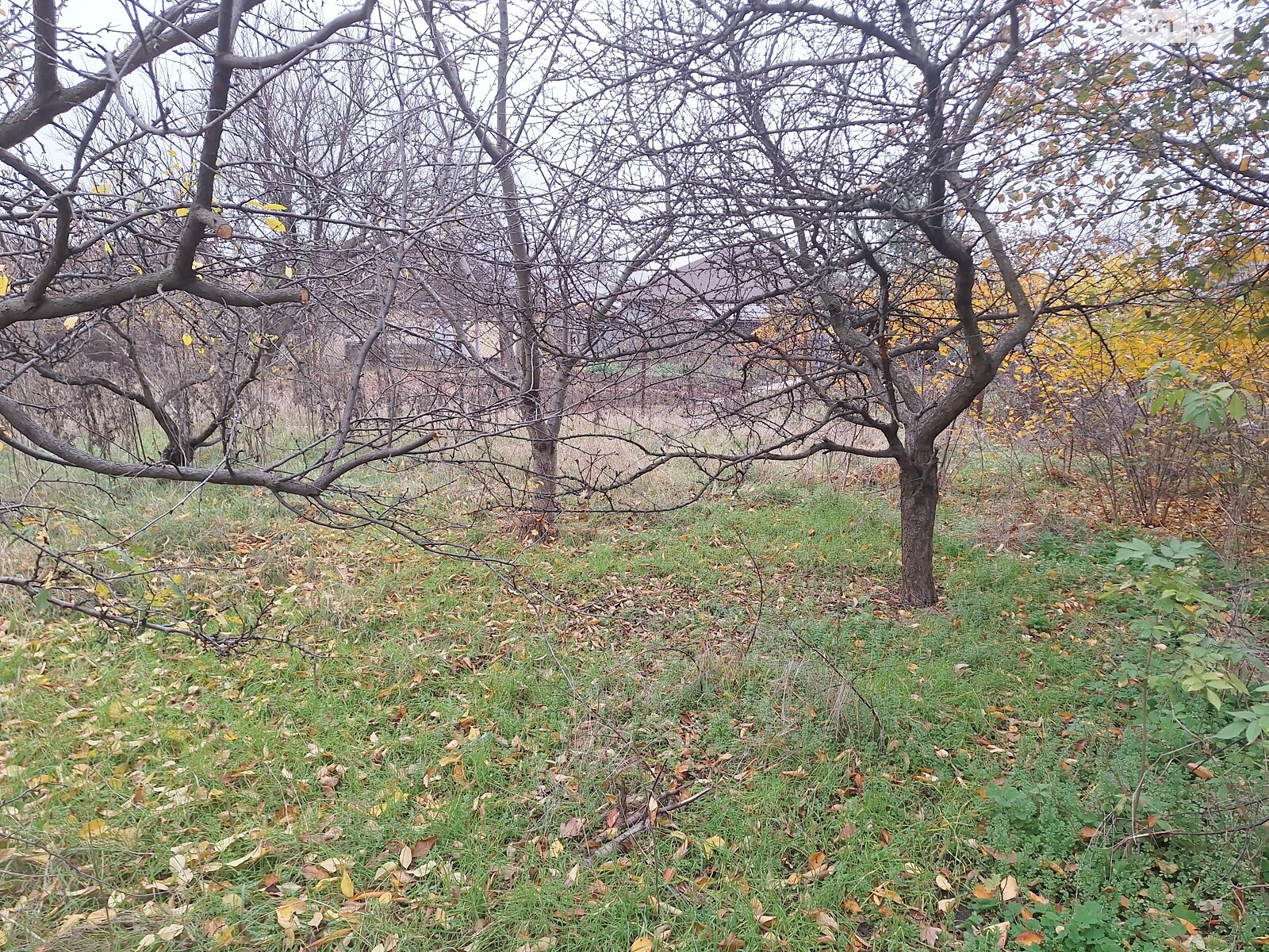 одноэтажный дом с отоплением, 50 кв. м, кирпич. Продажа в Кривом Роге район Центрально-Городской фото 1