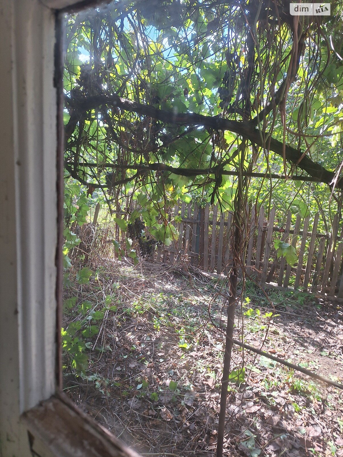 одноэтажный дом с отоплением, 50 кв. м, кирпич. Продажа в Кривом Роге район Центрально-Городской фото 1