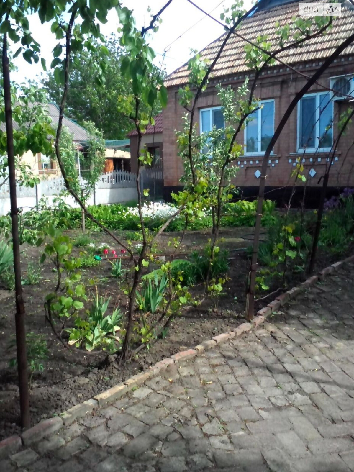 одноэтажный дом, 54 кв. м, кирпич. Продажа в Кривом Роге район Центрально-Городской фото 1 одноэтажный дом, 54 кв. м, кирпич. Продажа в Кривом Роге район Центрально-Городской фото 1