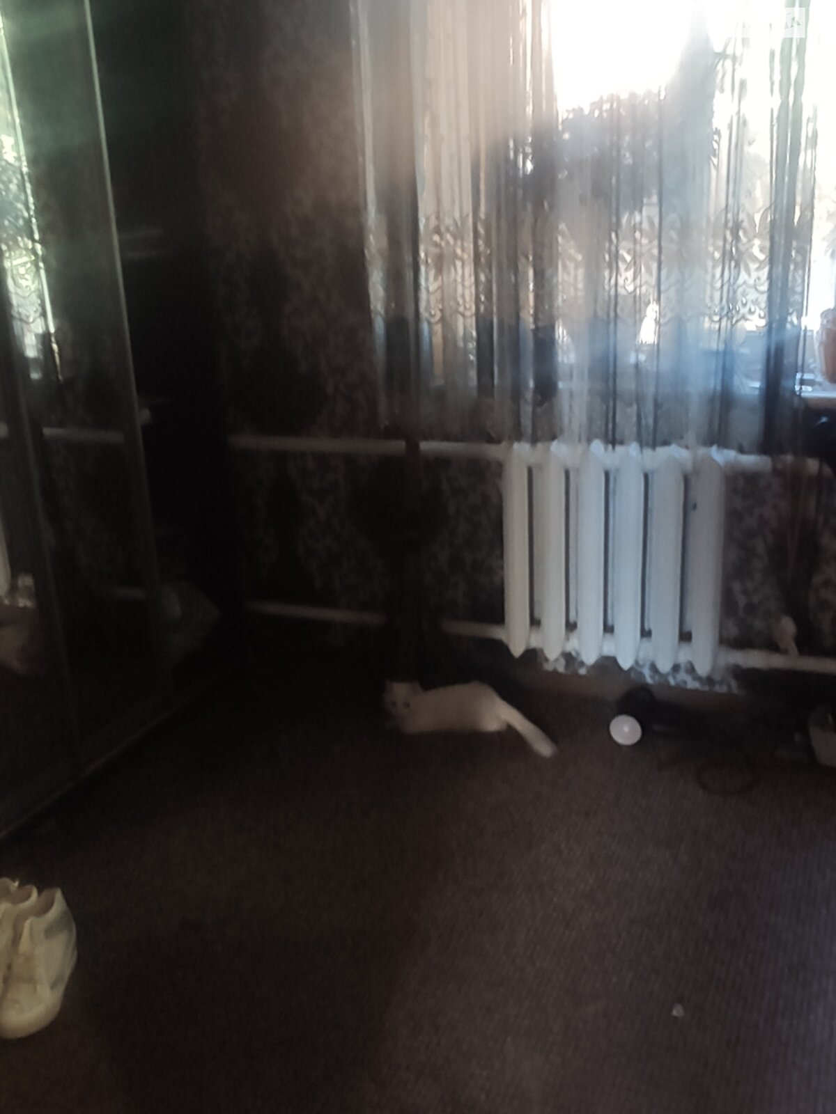 одноповерховий будинок, 100 кв. м, цегла. Продаж в Кривому Розі, район Центрально-Міський фото 1 одноповерховий будинок, 100 кв. м, цегла. Продаж в Кривому Розі, район Центрально-Міський фото 1