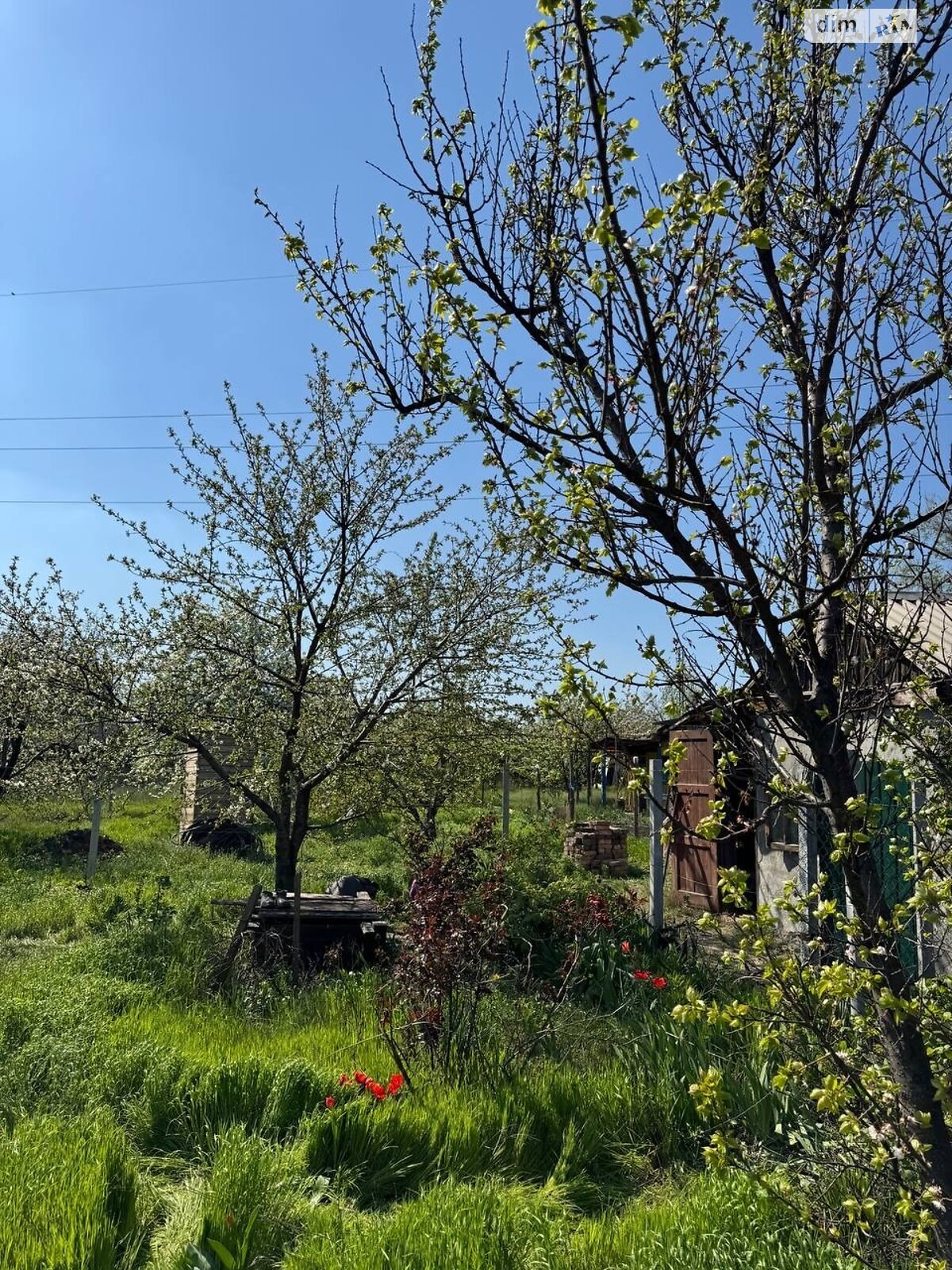 одноэтажный дом, 16 кв. м, дерево и кирпич. Продажа в Кривом Роге район ЮГОК фото 1 одноэтажный дом, 16 кв. м, дерево и кирпич. Продажа в Кривом Роге район ЮГОК фото 1