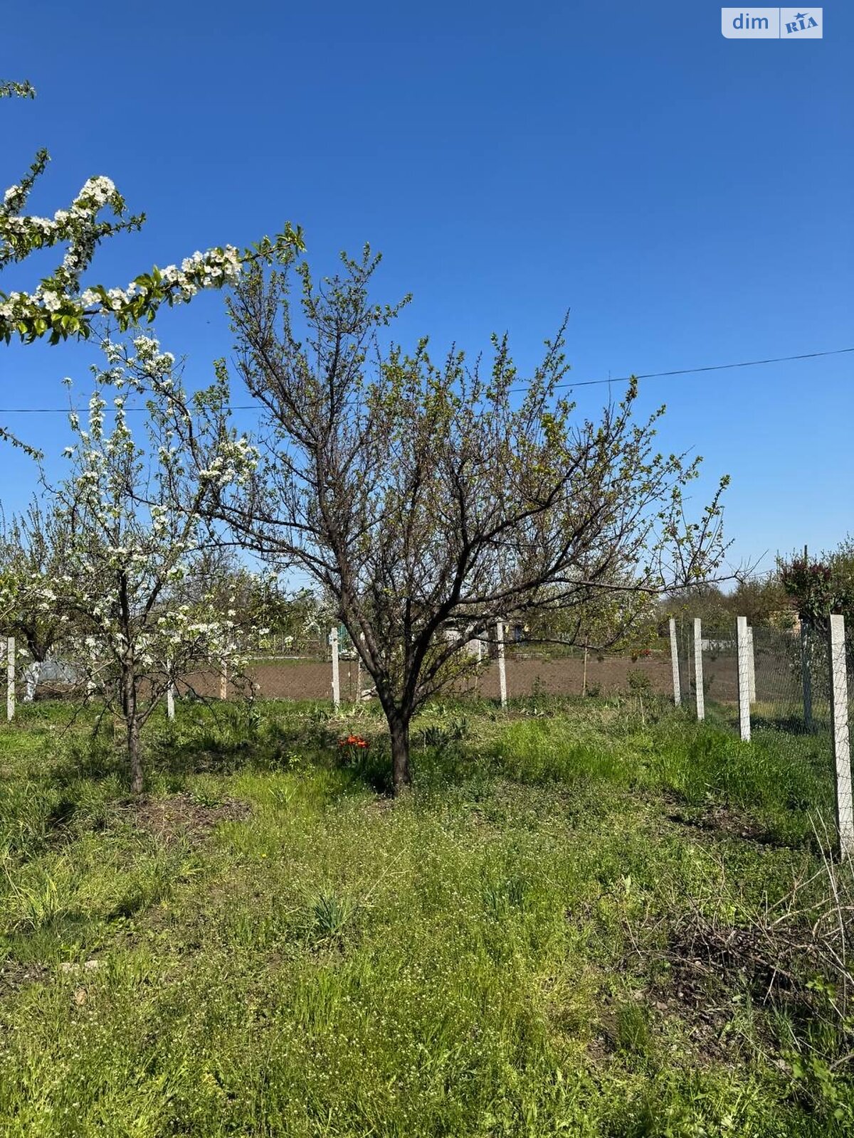 одноэтажный дом, 16 кв. м, дерево и кирпич. Продажа в Кривом Роге район ЮГОК фото 1 одноэтажный дом, 16 кв. м, дерево и кирпич. Продажа в Кривом Роге район ЮГОК фото 1