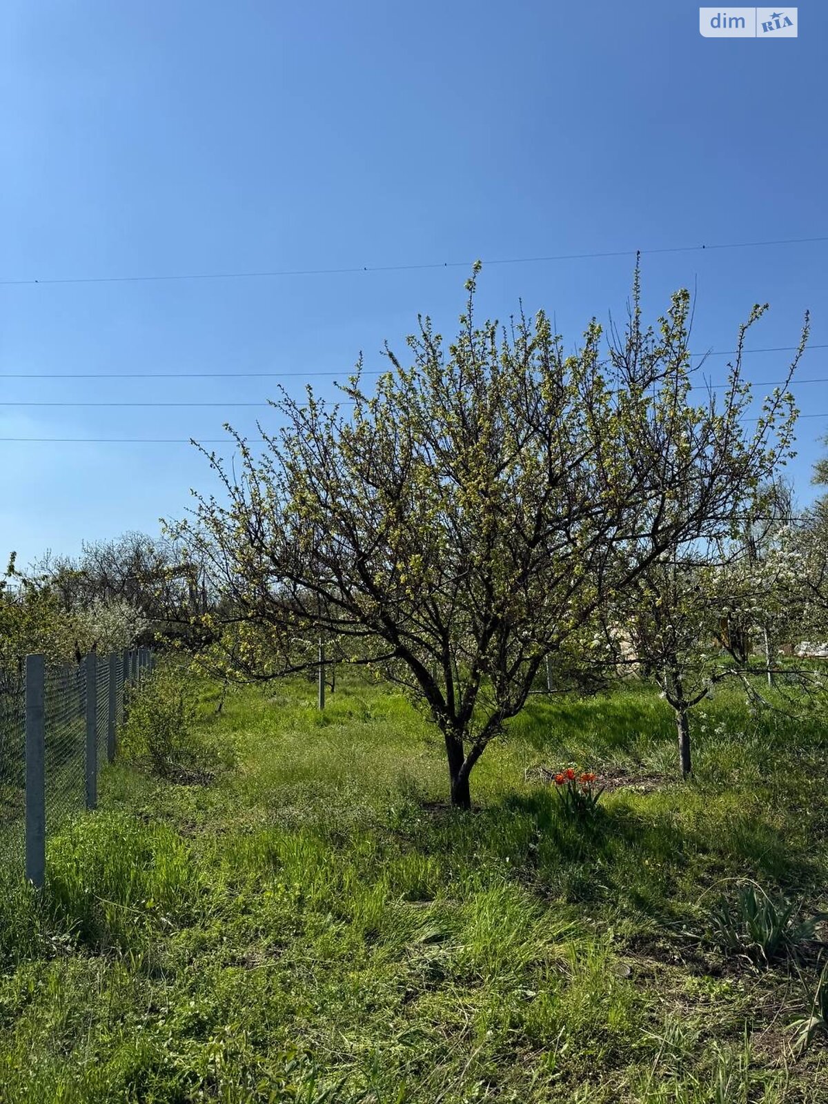 одноэтажный дом, 16 кв. м, дерево и кирпич. Продажа в Кривом Роге район ЮГОК фото 1 одноэтажный дом, 16 кв. м, дерево и кирпич. Продажа в Кривом Роге район ЮГОК фото 1