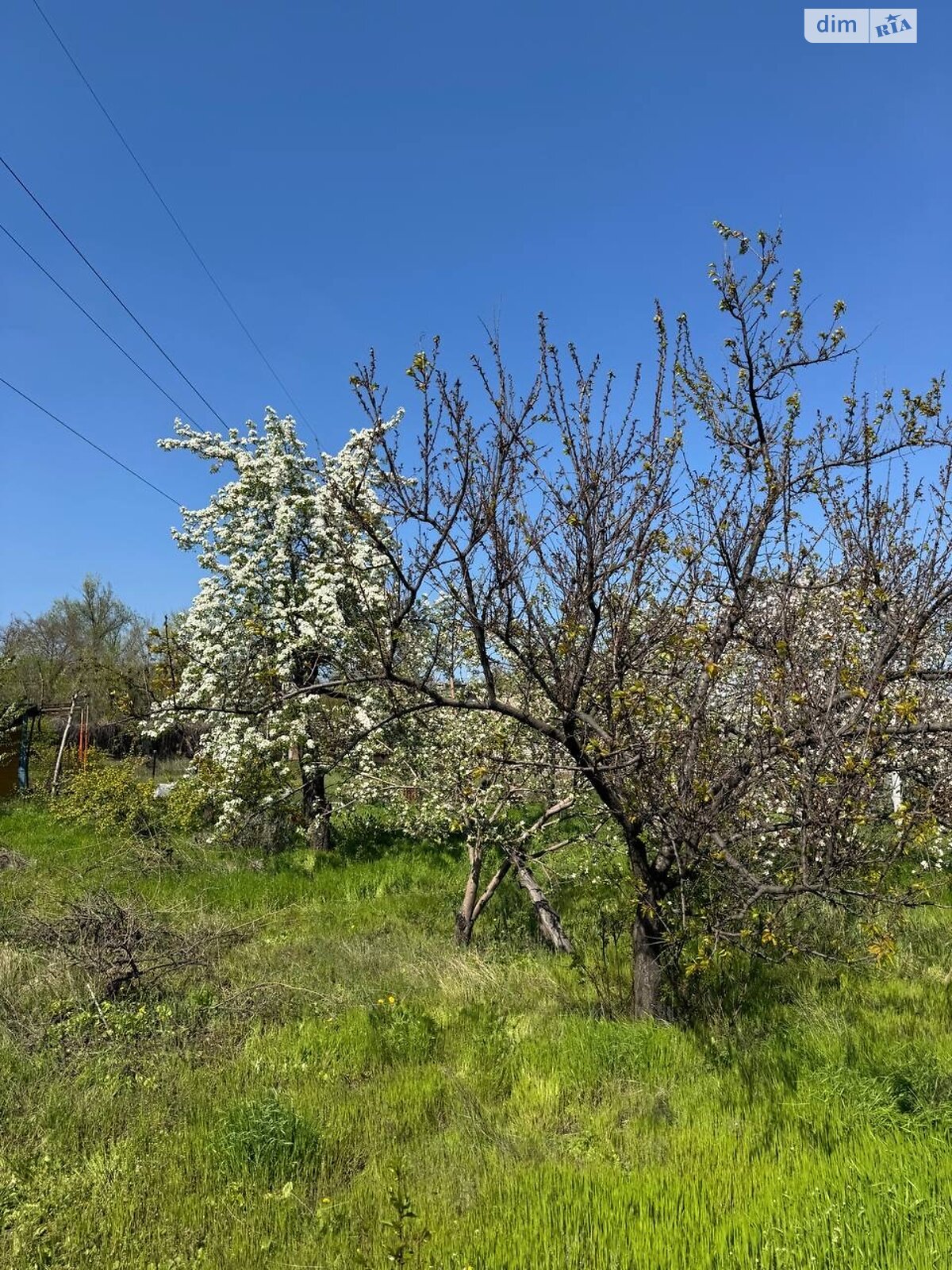 одноэтажный дом, 16 кв. м, дерево и кирпич. Продажа в Кривом Роге район ЮГОК фото 1 одноэтажный дом, 16 кв. м, дерево и кирпич. Продажа в Кривом Роге район ЮГОК фото 1
