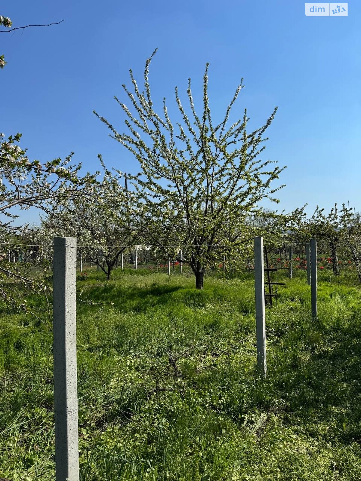 одноэтажный дом, 16 кв. м, дерево и кирпич. Продажа в Кривом Роге район ЮГОК фото 1 одноэтажный дом, 16 кв. м, дерево и кирпич. Продажа в Кривом Роге район ЮГОК фото 1