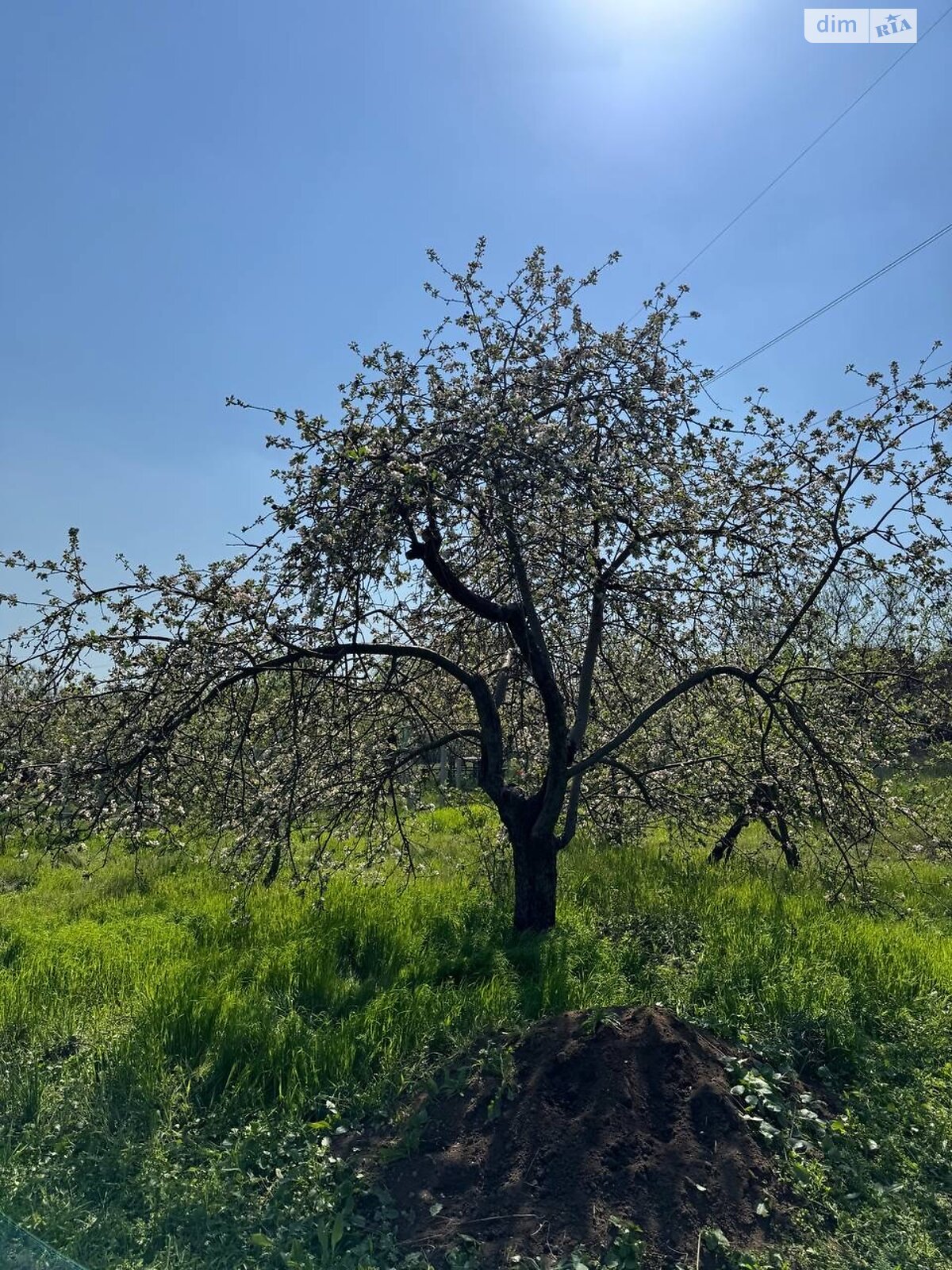 одноэтажный дом, 16 кв. м, дерево и кирпич. Продажа в Кривом Роге район ЮГОК фото 1 одноэтажный дом, 16 кв. м, дерево и кирпич. Продажа в Кривом Роге район ЮГОК фото 1