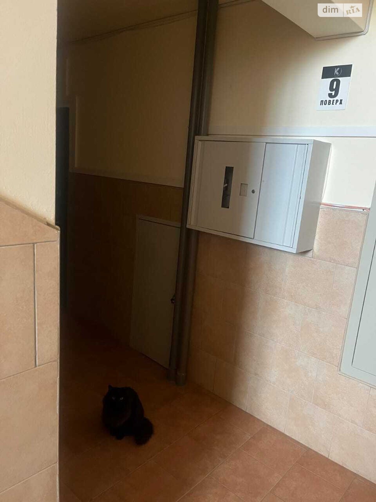 двухэтажный дом с верандой, 240 кв. м, термоблок. Продажа в Кропивницком район Большая Балка фото 1 двухэтажный дом с верандой, 240 кв. м, термоблок. Продажа в Кропивницком район Большая Балка фото 1