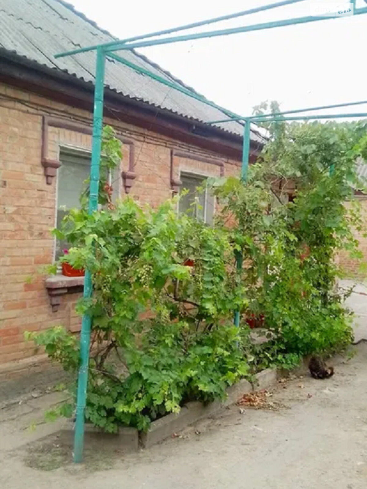 одноэтажный дом, 120 кв. м, кирпич. Продажа в Кропивницком район Новая Балашовка фото 1 одноэтажный дом, 120 кв. м, кирпич. Продажа в Кропивницком район Новая Балашовка фото 1